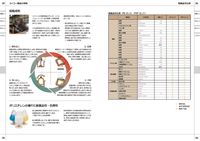 工業・プラント用 製品カタログ p19